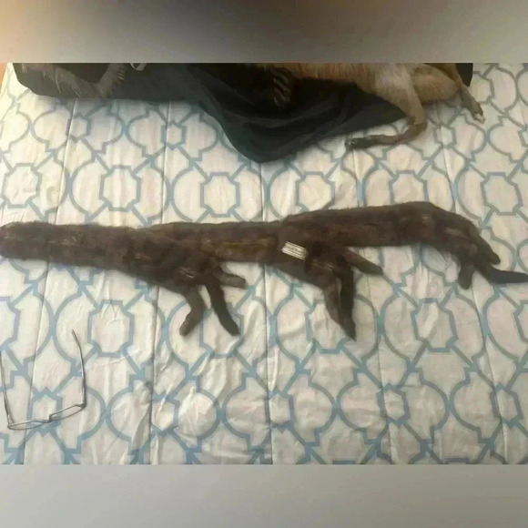 VINTAGE JOSEPH HORNE ACTUAL BODY 3 MINK STOLE - Picture 2 of 9